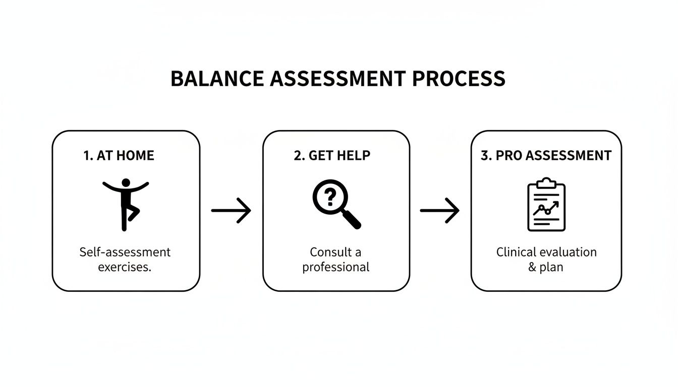 Flowchart illustrating the balance assessment process, moving from self-assessment to professional evaluation and plan.