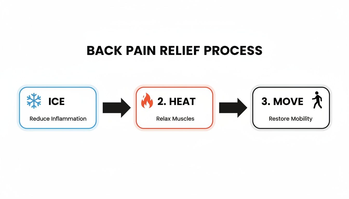 Infographic illustrating the back pain relief process: ice for inflammation, heat for muscles, and movement for mobility.