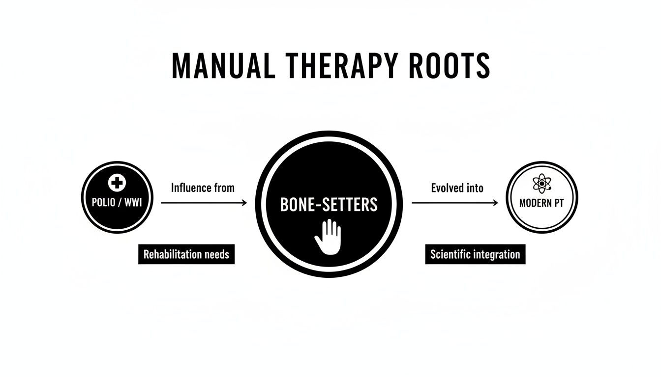 Flowchart illustrating the historical roots of manual therapy, from Polio/WWI to Bone-Setters and Modern PT.