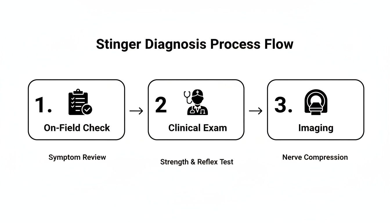 Flowchart illustrating the Stinger diagnosis process with three steps: On-Field Check, Clinical Exam, and Imaging.