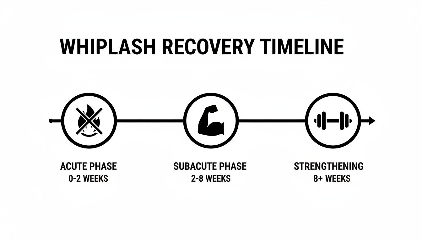 Whiplash recovery timeline showing acute, subacute, and strengthening phases with associated durations.