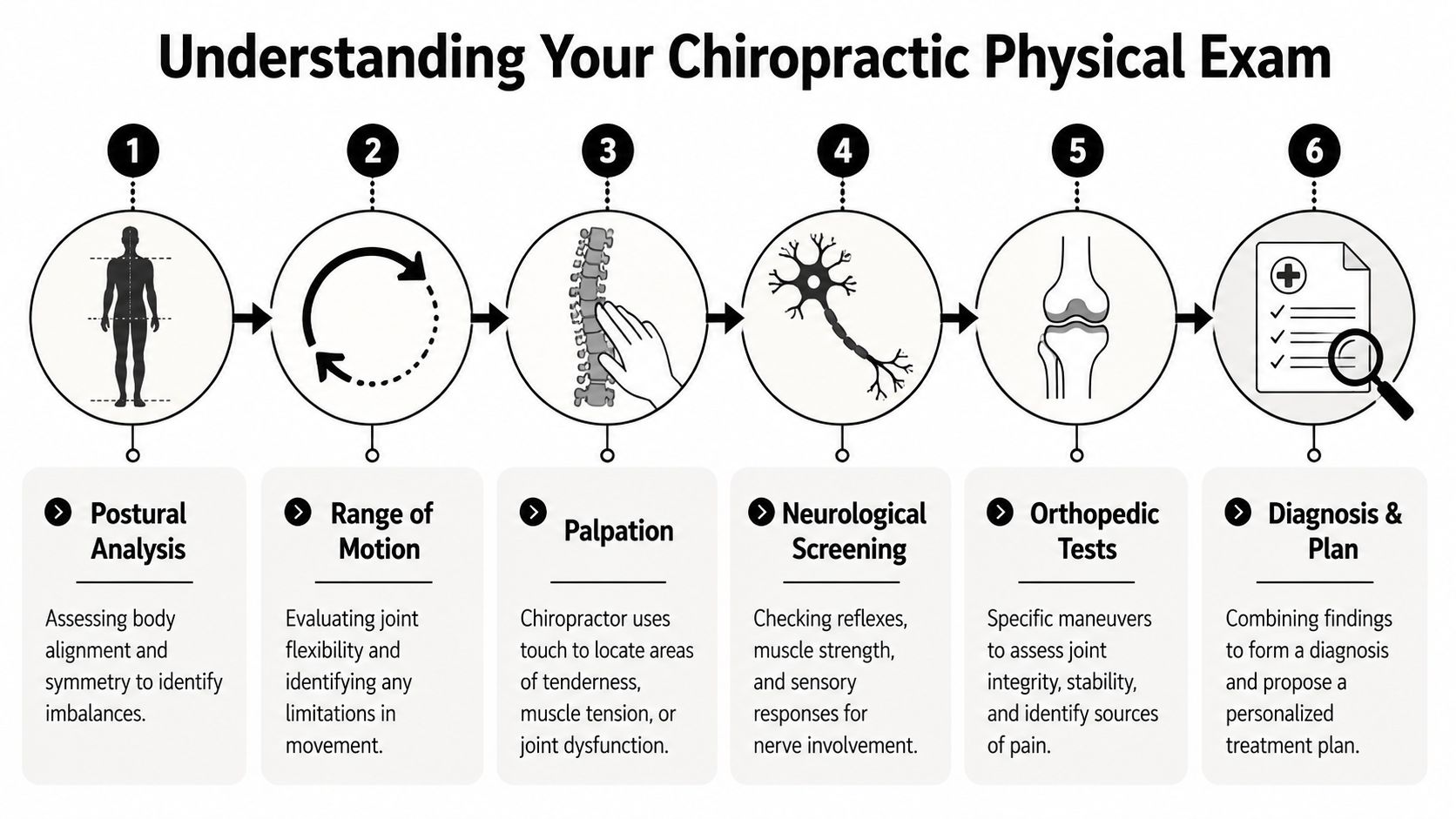 A six-step infographic explaining the components of a comprehensive chiropractic physical examination process for patients.