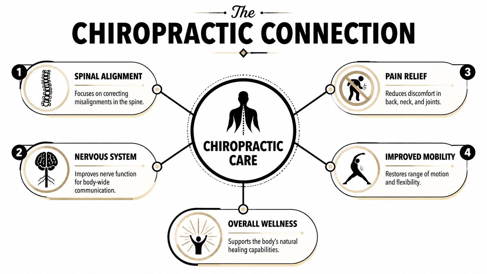 An infographic titled The Chiropractic Connection illustrating benefits like spinal alignment, nervous system health, pain relief, and mobility.