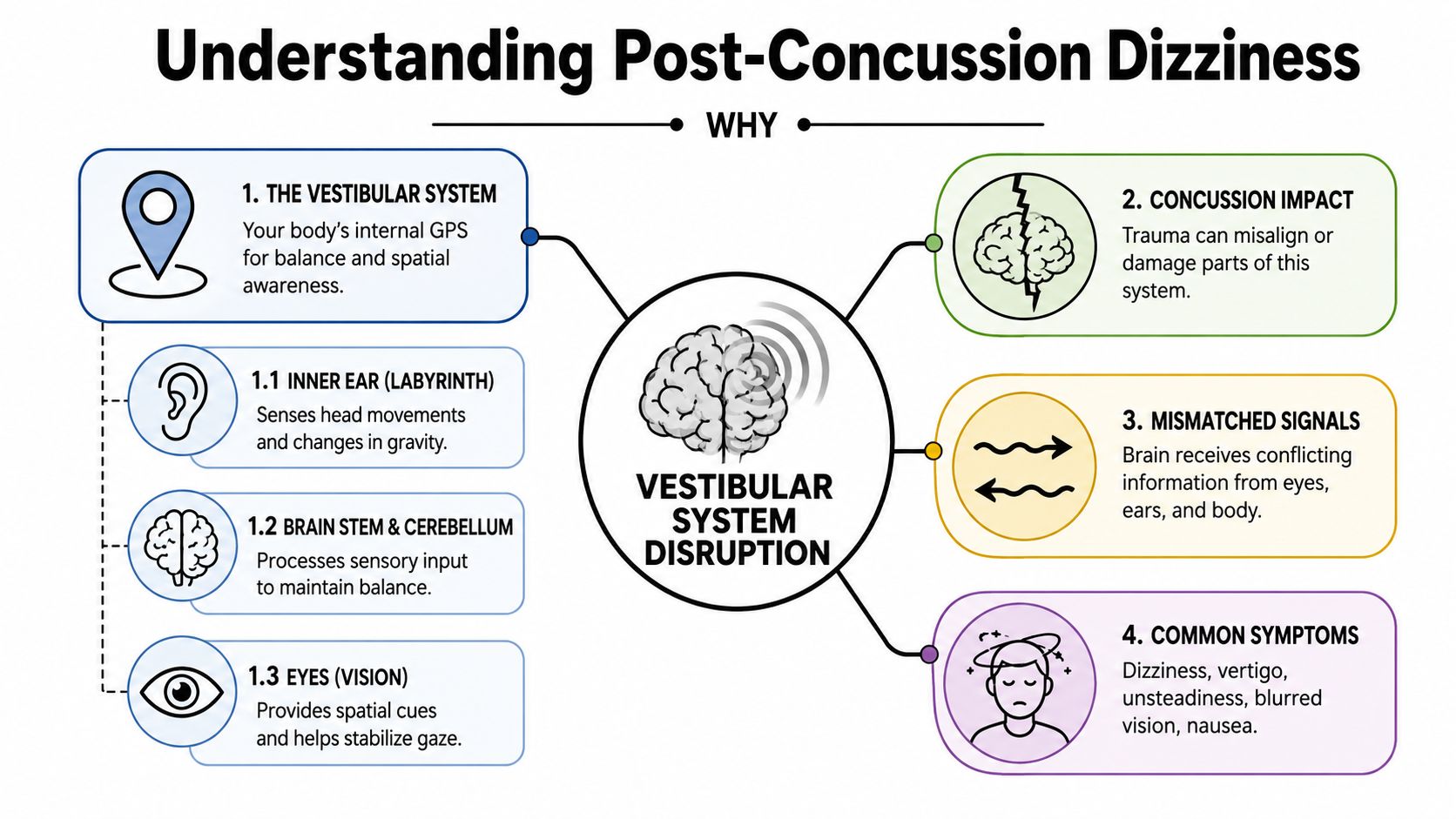 An infographic explaining why post-concussion dizziness occurs due to vestibular system disruption following a head injury.