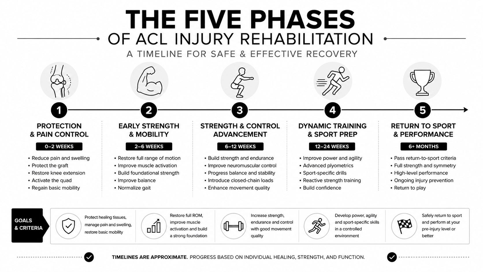 A diagram outlining the five phases of ACL injury rehabilitation, from initial protection to returning to sport.