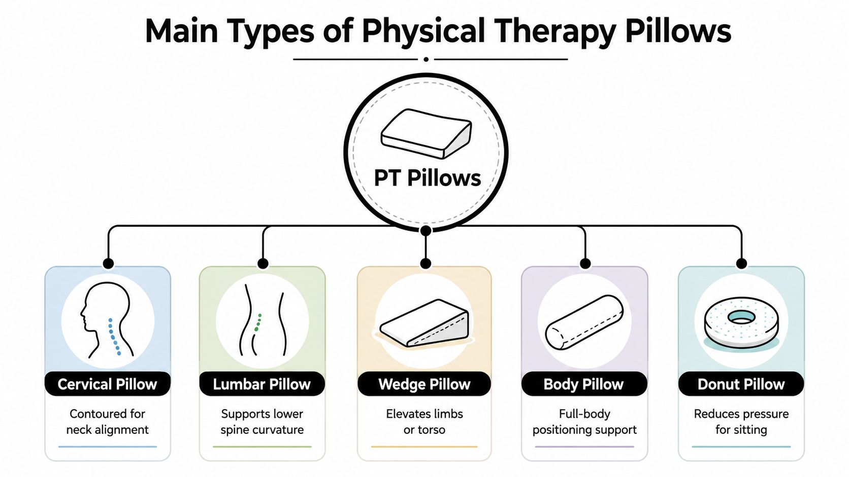 An educational infographic chart displaying the five main types of physical therapy pillows and their uses.