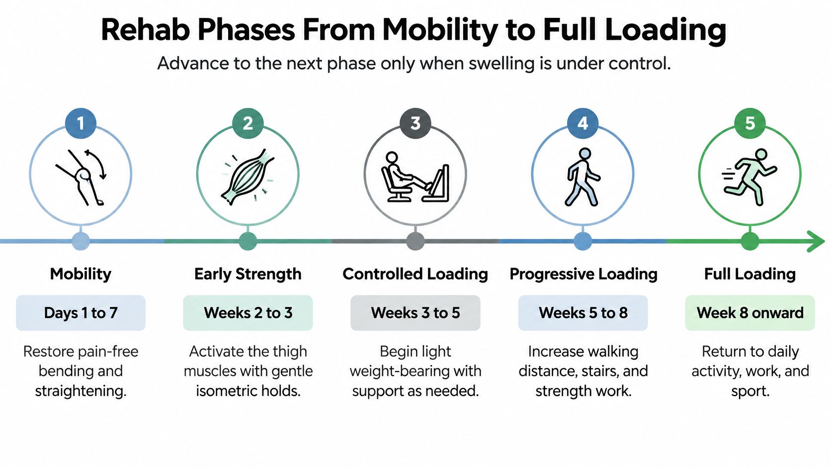 A five-phase infographic outlining the timeline and goals for knee injury rehabilitation, from initial mobility to full loading.