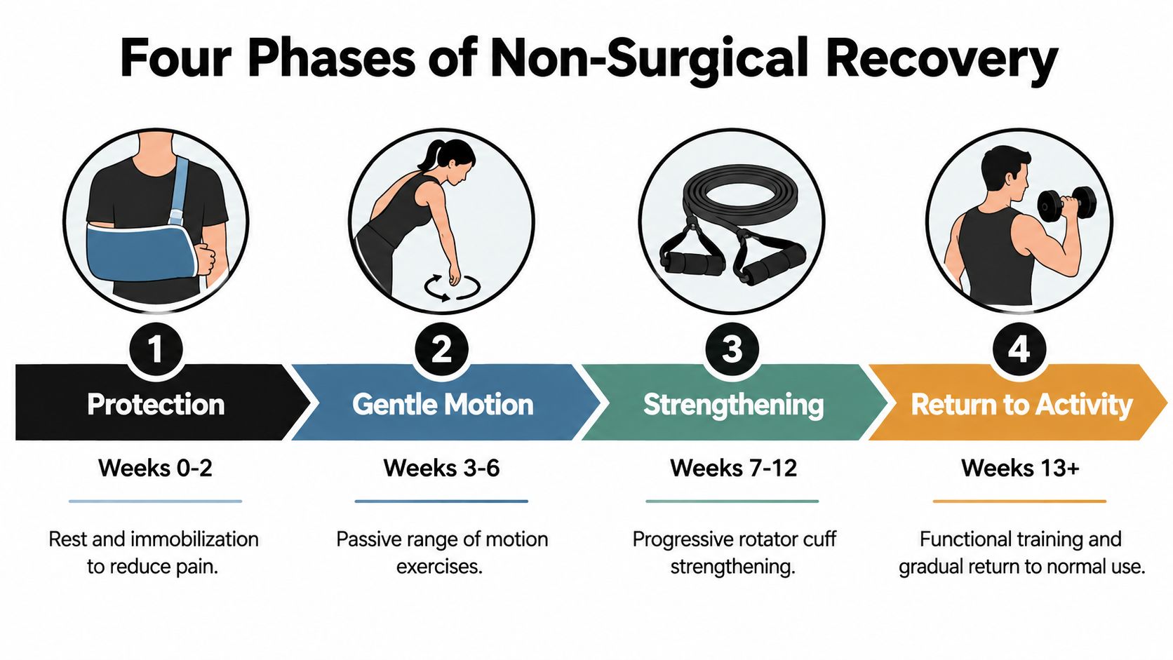 A four-phase infographic showing the stages of non-surgical recovery for a rotator cuff injury over time.
